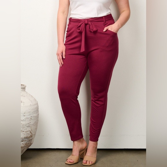 NWOT ZIP UP Burgundy Pants - Picture 2 of 3